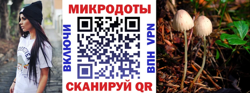 Галлюциногенные грибы MAGIC MUSHROOMS  Братск 
