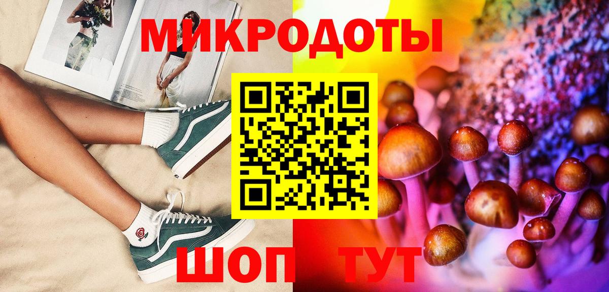 Псилоцибиновые грибы Cubensis Братск