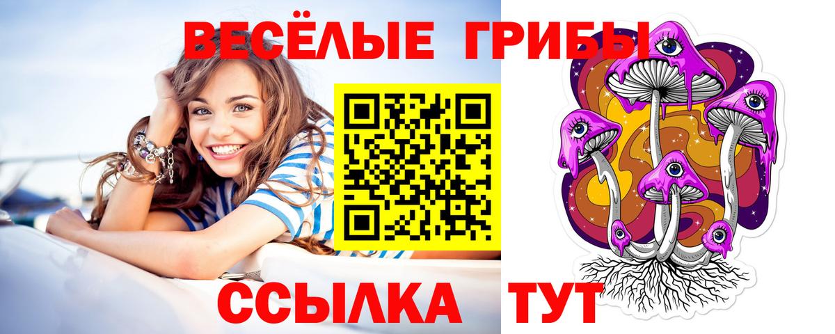Галлюциногенные грибы GOLDEN TEACHER  Галлюциногенные грибы прущие грибы  Братск  Вход с VPN 