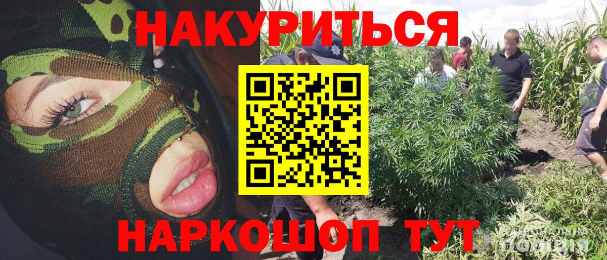 Бошки марихуана Bruce Banner Братск
